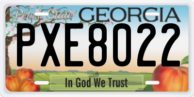 GA license plate PXE8022