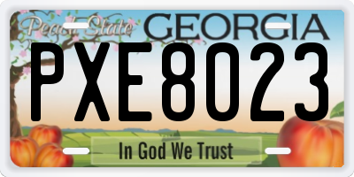 GA license plate PXE8023