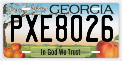 GA license plate PXE8026