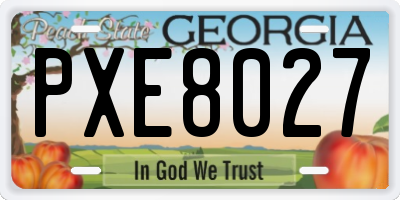 GA license plate PXE8027