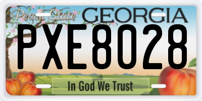 GA license plate PXE8028