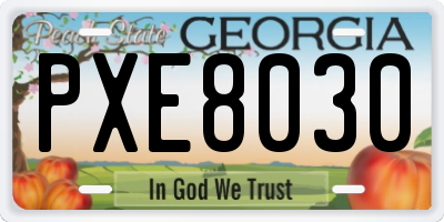 GA license plate PXE8030