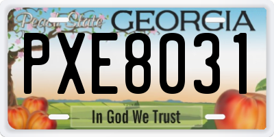 GA license plate PXE8031