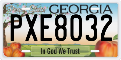 GA license plate PXE8032