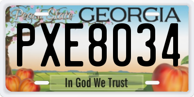 GA license plate PXE8034