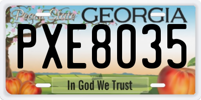 GA license plate PXE8035
