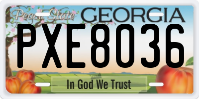 GA license plate PXE8036