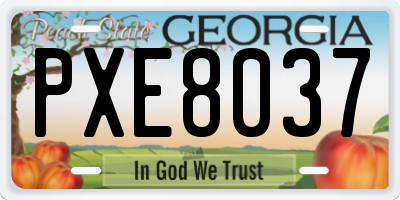 GA license plate PXE8037