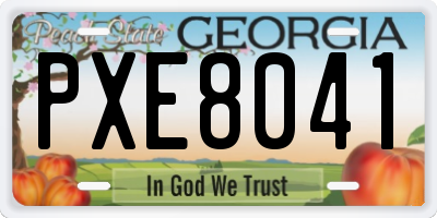 GA license plate PXE8041