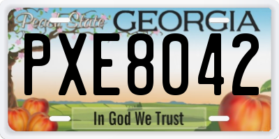 GA license plate PXE8042
