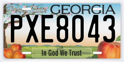 GA license plate PXE8043