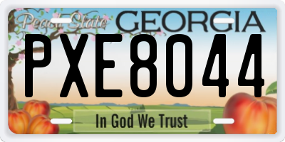 GA license plate PXE8044
