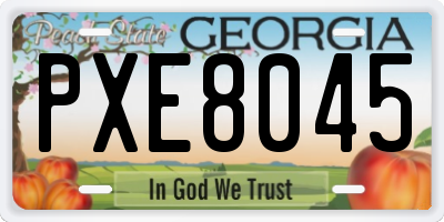 GA license plate PXE8045