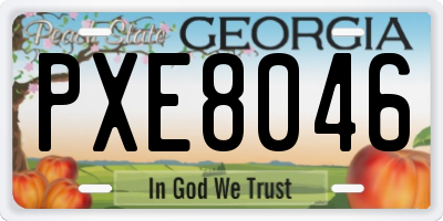 GA license plate PXE8046