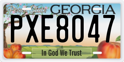 GA license plate PXE8047