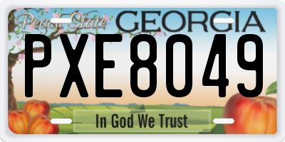 GA license plate PXE8049