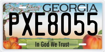 GA license plate PXE8055