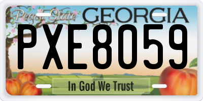 GA license plate PXE8059