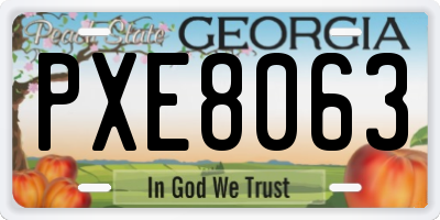 GA license plate PXE8063