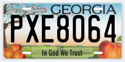 GA license plate PXE8064