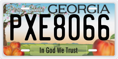 GA license plate PXE8066