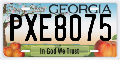 GA license plate PXE8075