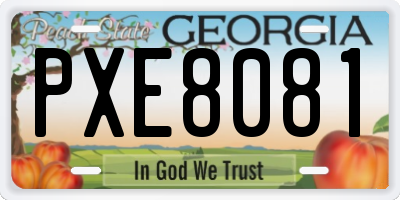 GA license plate PXE8081
