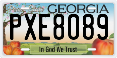GA license plate PXE8089