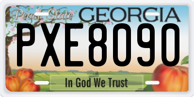 GA license plate PXE8090
