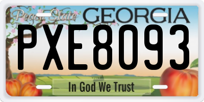 GA license plate PXE8093