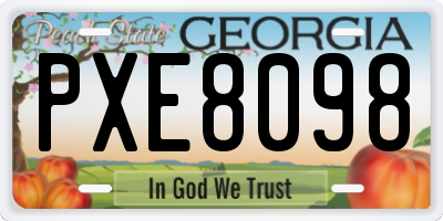 GA license plate PXE8098