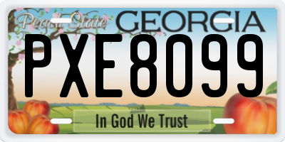 GA license plate PXE8099