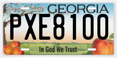 GA license plate PXE8100