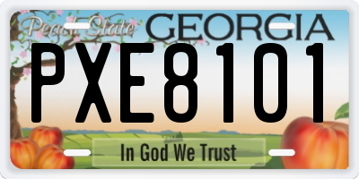 GA license plate PXE8101