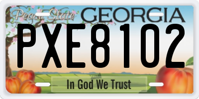 GA license plate PXE8102