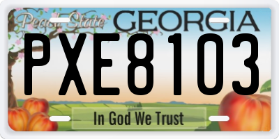 GA license plate PXE8103