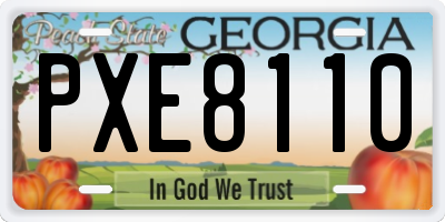 GA license plate PXE8110