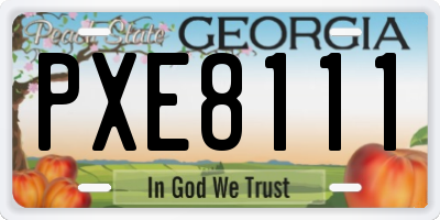 GA license plate PXE8111