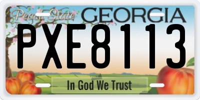 GA license plate PXE8113