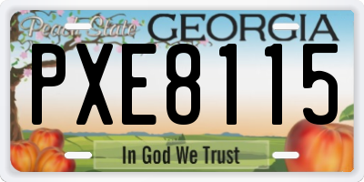 GA license plate PXE8115