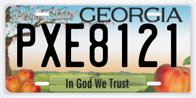 GA license plate PXE8121