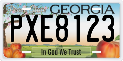 GA license plate PXE8123