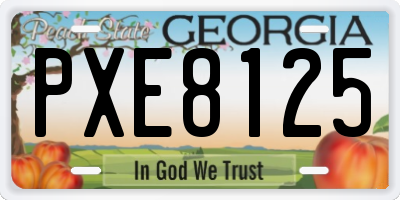 GA license plate PXE8125