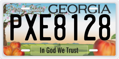 GA license plate PXE8128