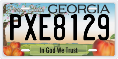 GA license plate PXE8129