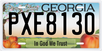 GA license plate PXE8130