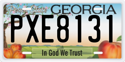 GA license plate PXE8131