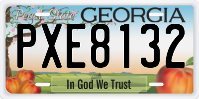 GA license plate PXE8132