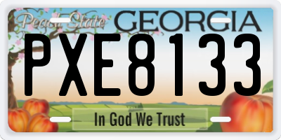 GA license plate PXE8133