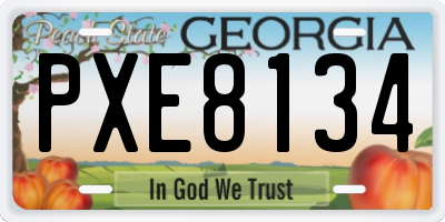 GA license plate PXE8134